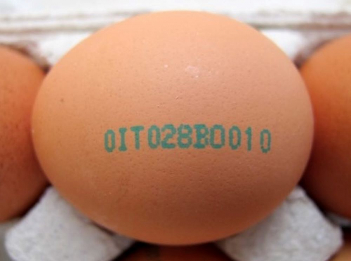 Cosa indicano i codici sulle uova che acquistiamo? Quando zero diventa il voto più alto